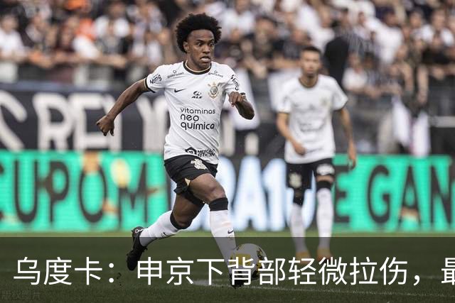 乌度卡：申京下背部轻微拉伤，最多缺席几场