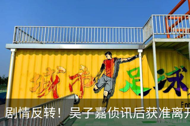 剧情反转！吴子嘉侦讯后获准离开，一句解释反倒让人越想越疑惑！