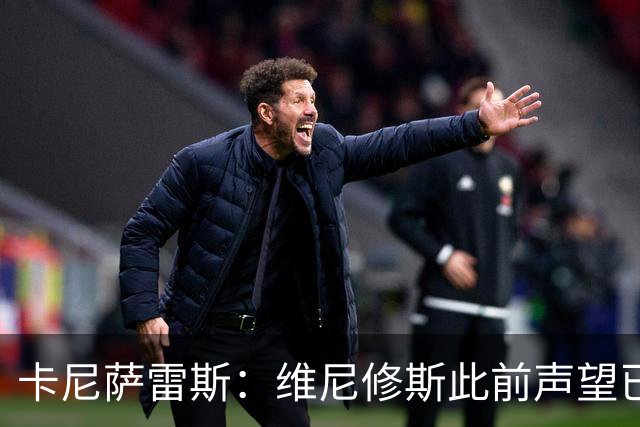 卡尼萨雷斯：维尼修斯此前声望已逐渐透支，他必须重拾昔日荣光