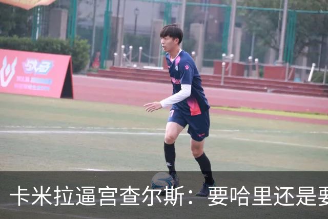 卡米拉"逼宫"查尔斯：要哈里还是要我