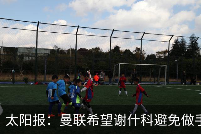 太阳报：曼联希望谢什科避免做手术；球迷质疑俱乐部阵容规划