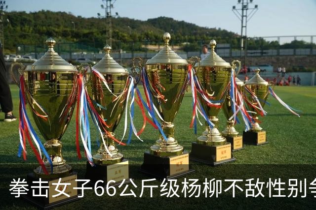 拳击女子66公斤级杨柳不敌性别争议选手摘银