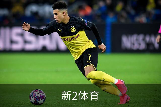 新2体育公司简介