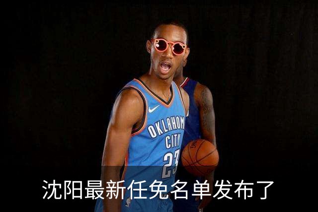 沈阳最新任免名单发布了