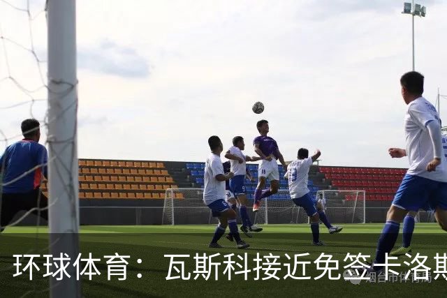 环球体育：瓦斯科接近免签卡洛斯-维尼修斯
