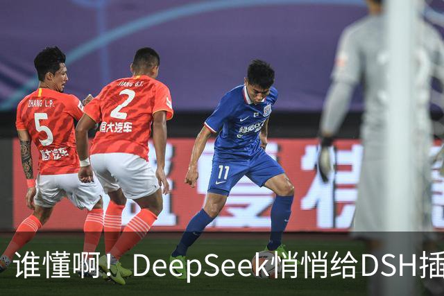 谁懂啊！DeepSeek悄悄给DSH插件开发者发钱了