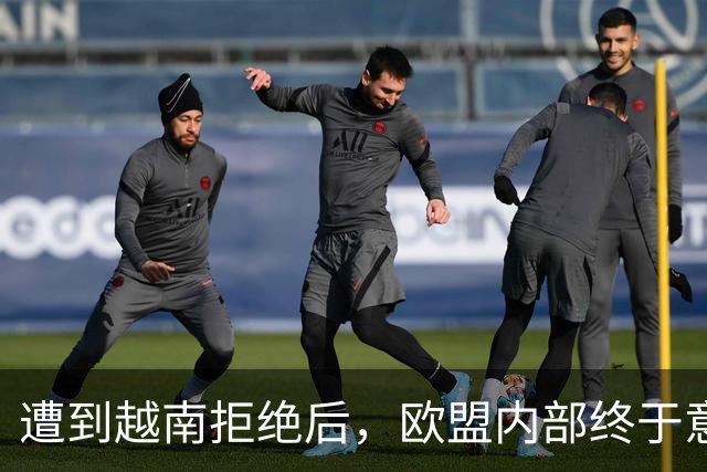 遭到越南拒绝后，欧盟内部终于意识到：什么叫 “中国力量”！