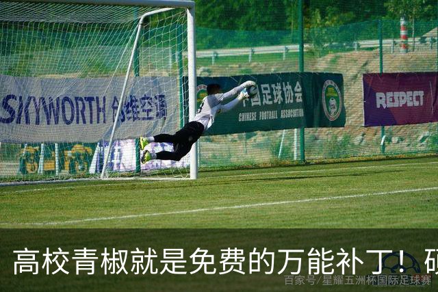 高校青椒就是免费的万能补丁！硕士点申报、师范认证、科研秘书......一样都没有落下，结果等到奖励的时候，什么都没有！！