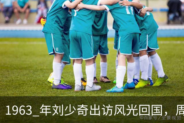 1963 年刘少奇出访风光回国，周总理一通电话怒斥犯忌！